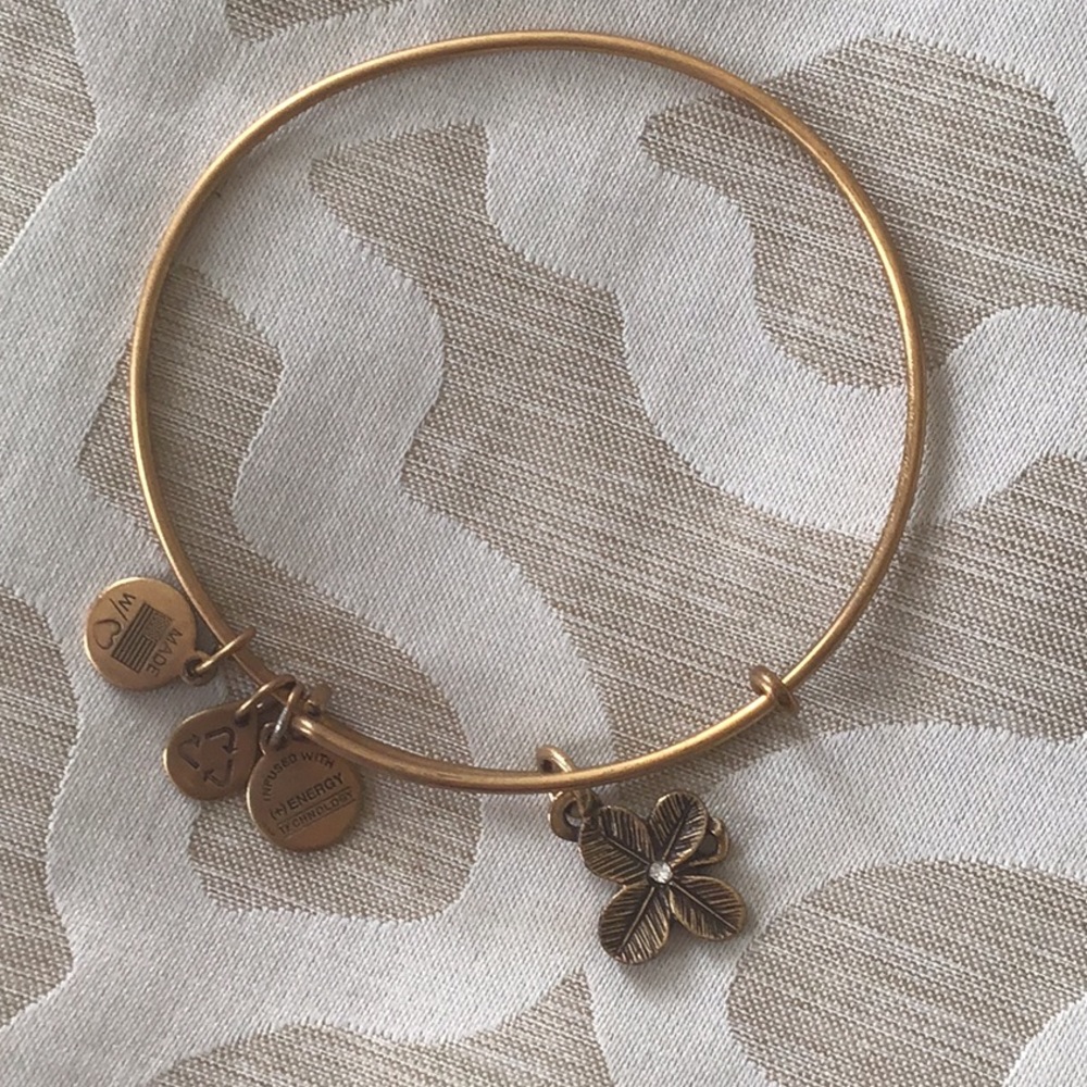 Alex and Ani bracelet